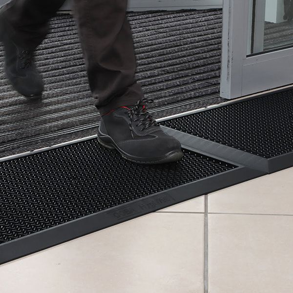 Shoe disinfection mat